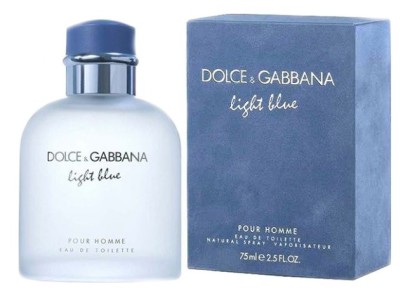 Dolce & Gabbana Light Blue Pour Homme 100 мл A-Plus
