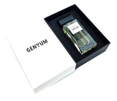 Genyum Painter 100 мл 