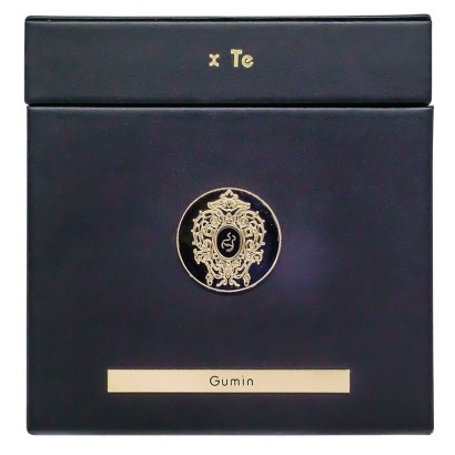 Tiziana Terenzi Gumin 100 мл