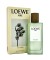 Loewe Aire Sutileza 100 мл